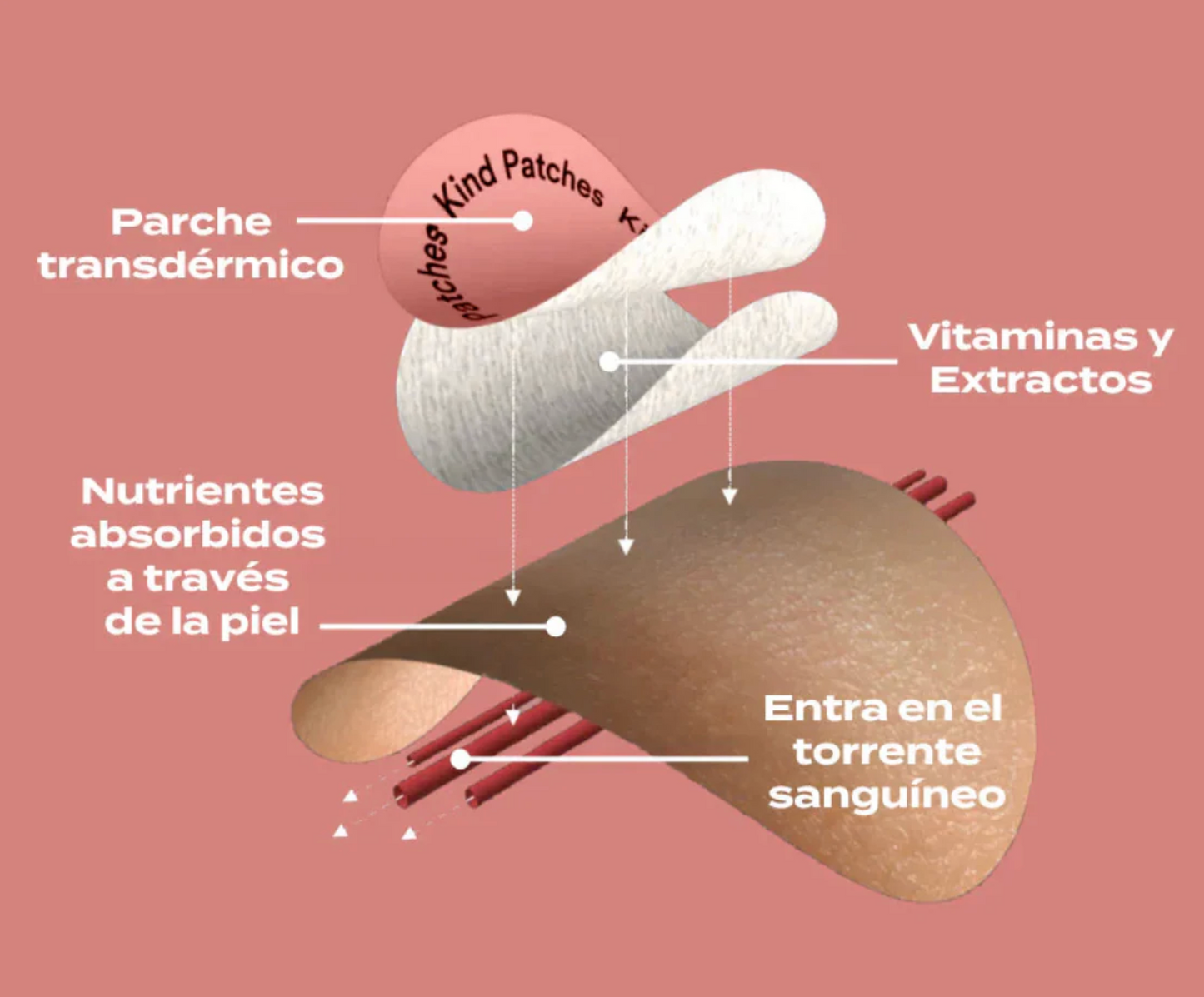 Apaga Tus Antojos Como Si Pulsaras un Interruptor (100% Natural)